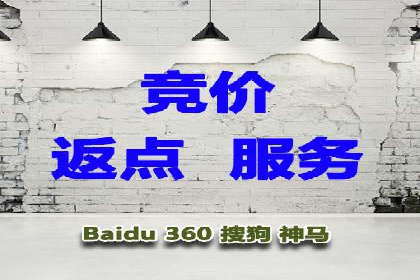 行业标杆：SEM托管公司案例解析